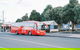 SkyBus Byron Bay Express - thumb 1