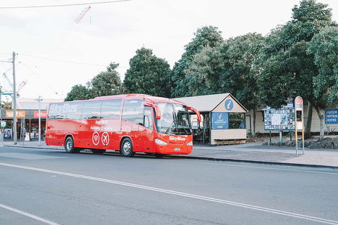 SkyBus Byron Bay Express - Accommodation Sunshine Coast 1