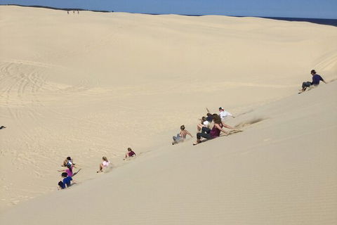 Port Stephens Bush, Beach And Sand Dune 4WD Passenger Tour - Accommodation Sunshine Coast 2