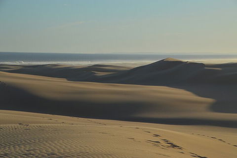 Port Stephens Bush, Beach And Sand Dune 4WD Passenger Tour - Accommodation Sunshine Coast 6