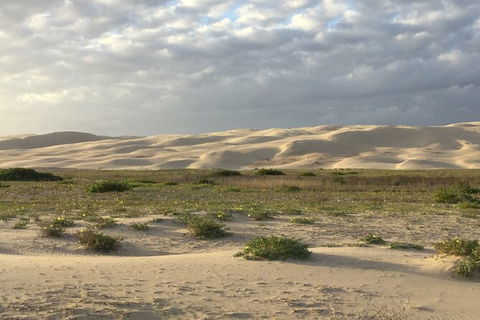 Port Stephens Bush, Beach And Sand Dune 4WD Passenger Tour - Accommodation Sunshine Coast 3