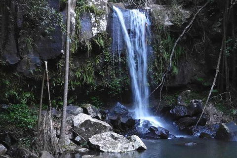 Personal, Private Chauffeur Driven Guided Tours - Accommodation Sunshine Coast 1