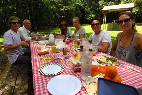 Byron Bay Wildlife Safari - Accommodation Sunshine Coast 8