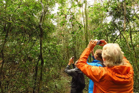 Byron Bay Wildlife Safari - Accommodation Sunshine Coast 12
