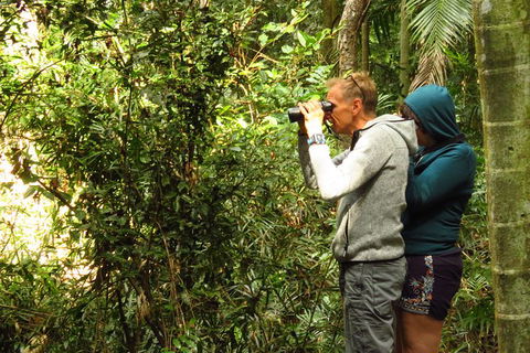 Byron Bay Wildlife Safari - Accommodation Sunshine Coast 10