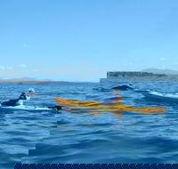 Whale Watching by Sea Kayak in Batemans Bay - Accommodation Sunshine Coast