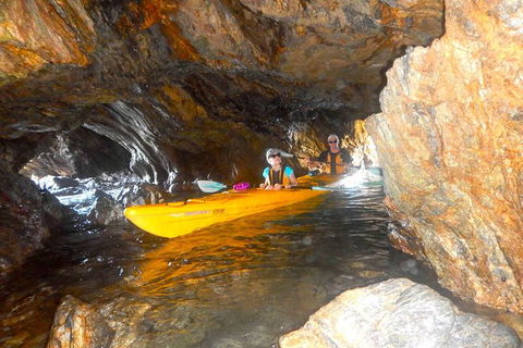 Whale Watching By Sea Kayak In Batemans Bay - Accommodation Sunshine Coast 4