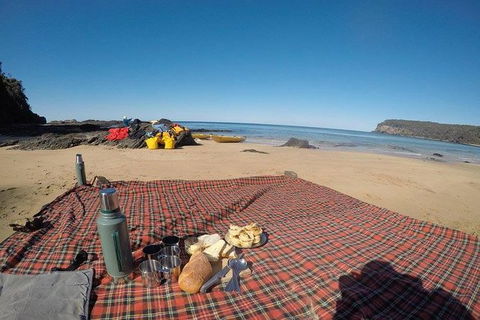 Whale Watching By Sea Kayak In Batemans Bay - Accommodation Sunshine Coast 6