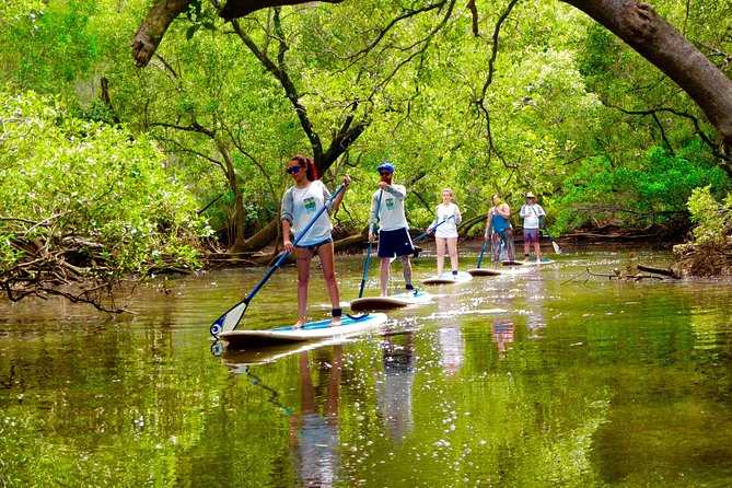 Hayters Hill NSW Accommodation Sunshine Coast