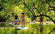 Byron Stand Up Paddle Nature Tour - thumb 4