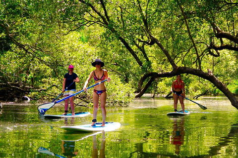 Byron Stand Up Paddle Nature Tour - Accommodation Sunshine Coast 4