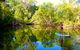 Byron Stand Up Paddle Nature Tour - thumb 3