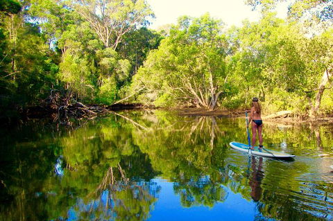 Byron Stand Up Paddle Nature Tour - Accommodation Sunshine Coast 3