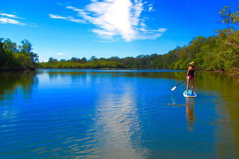 Byron Stand Up Paddle Nature Tour - Accommodation Sunshine Coast 5