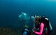 5-Hour Byron Bay Introductory Scuba Diving Tour - thumb 2
