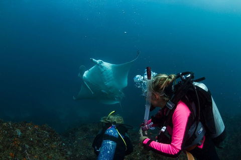 5-Hour Byron Bay Introductory Scuba Diving Tour - Accommodation Sunshine Coast 2
