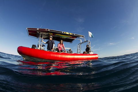 5-Hour Byron Bay Introductory Scuba Diving Tour - Accommodation Sunshine Coast 10
