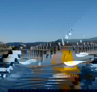 Batemans Bay Oyster Tasting Kayak Tour - Accommodation Sunshine Coast