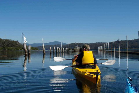 Batemans Bay Oyster Tasting Kayak Tour - Accommodation Sunshine Coast 0