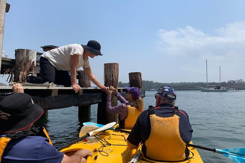 Batemans Bay Oyster Tasting Kayak Tour - Accommodation Sunshine Coast 4