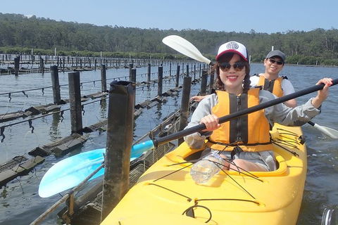 Batemans Bay Oyster Tasting Kayak Tour - Accommodation Sunshine Coast 5