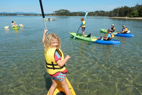 Batemans Bay Glass-Bottom Kayak Tour Over 2 Relaxing Hours - Accommodation Sunshine Coast 0