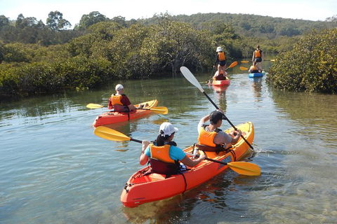 Batemans Bay Glass-Bottom Kayak Tour Over 2 Relaxing Hours - Accommodation Sunshine Coast 4