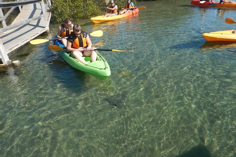 Batemans Bay Glass-Bottom Kayak Tour Over 2 Relaxing Hours - Accommodation Sunshine Coast 5