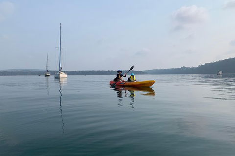 Batemans Bay Glass-Bottom Kayak Tour Over 2 Relaxing Hours - Accommodation Sunshine Coast 7