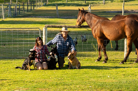 Meet The Animals - Accommodation Sunshine Coast 0