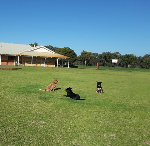 Meet The Animals - Accommodation Sunshine Coast 3