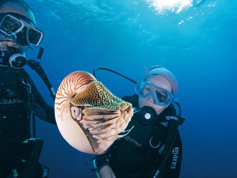 Agincourt Reef - Accommodation Sunshine Coast 1