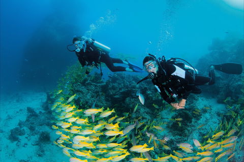 Agincourt Reef - Accommodation Sunshine Coast 2