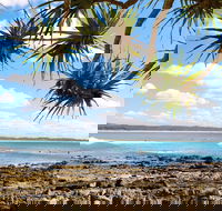 Arrawarra-Corindi Beach - Accommodation Sunshine Coast