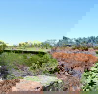 Bladensburg National Park - Accommodation Sunshine Coast