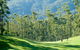 Bonville Golf Resort - thumb 0