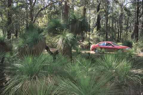 Bridgetown Jarrah Park - Accommodation Sunshine Coast 0