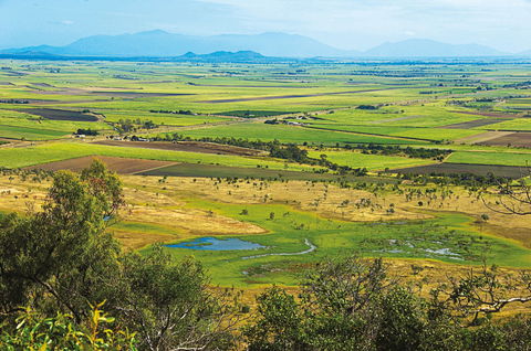 Burdekin - Accommodation Sunshine Coast 1