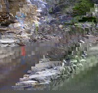 Butterfly Gorge Nature Park - Accommodation Sunshine Coast