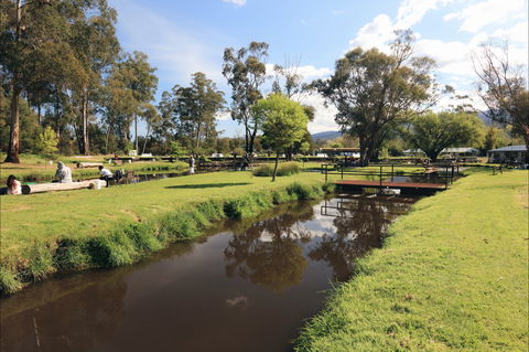 Buxton Trout And Salmon Farm - Accommodation Sunshine Coast 1