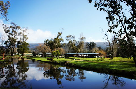 Buxton Trout And Salmon Farm - Accommodation Sunshine Coast 2