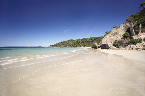 Cape Liptrap Coastal Park - Accommodation Sunshine Coast 1