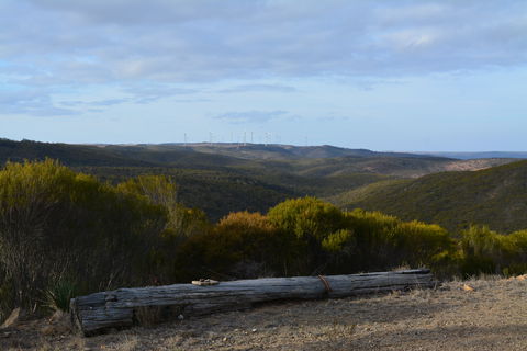 Cleve Hills Scenic Drive & Lookout - Accommodation Sunshine Coast 0