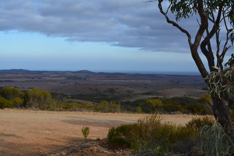 Cleve Hills Scenic Drive & Lookout - Accommodation Sunshine Coast 1