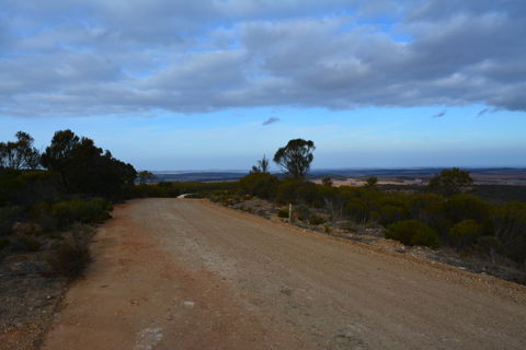 Cleve Hills Scenic Drive & Lookout - Accommodation Sunshine Coast 2