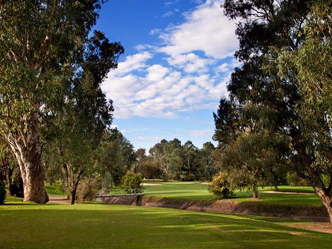 Commercial Golf Course - Accommodation Sunshine Coast 0
