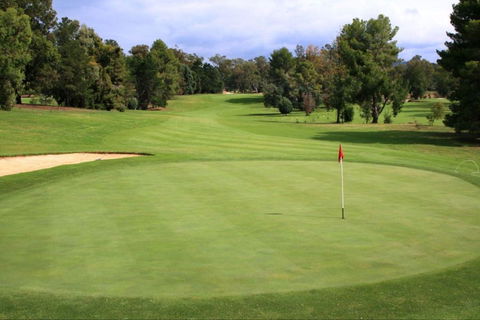 Commercial Golf Course - Accommodation Sunshine Coast 1
