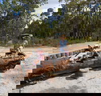 Crooked Brook Forest - Accommodation Sunshine Coast