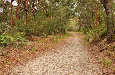 Daleys Point Walking Track - Accommodation Sunshine Coast 0