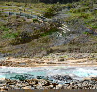 Dammerels History Walk - Accommodation Sunshine Coast
